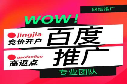 百度竞价包年推广案例：低成本高回报的营销策略