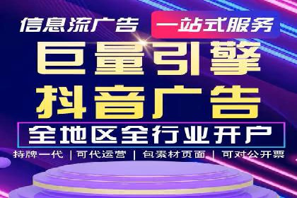 某某SEM服务公司成功案例：从数据出发的营销策略